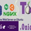 Onion website setup on TOR